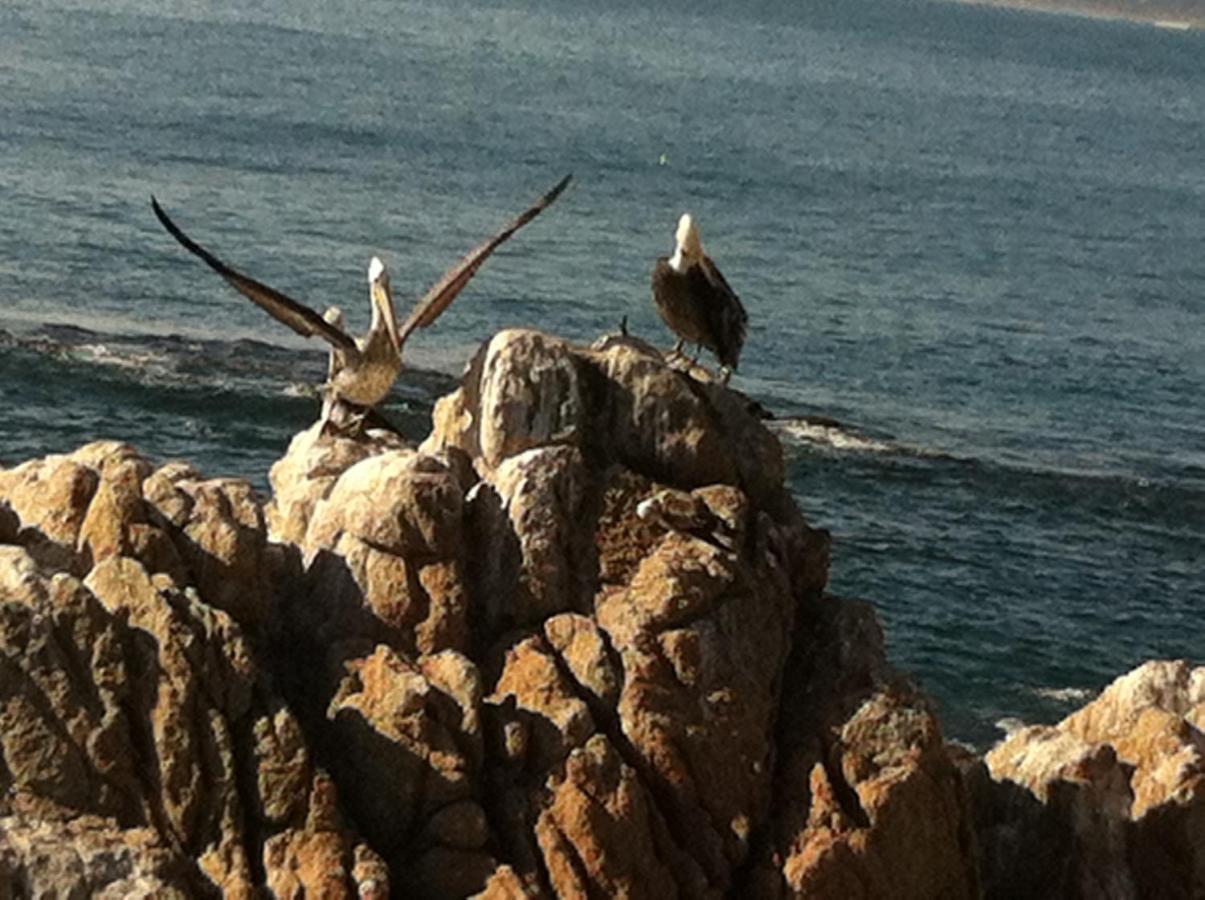 B&B Patrimonial Little Castle Vina del Mar Exterior photo